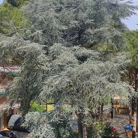 Casa Rosa - 3 Bdrms - 5 Mins Walk From The *